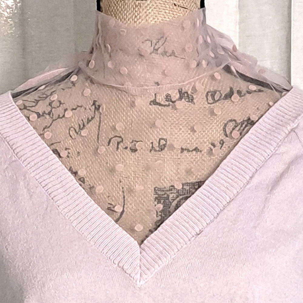 Beautiful sheer neck sweater